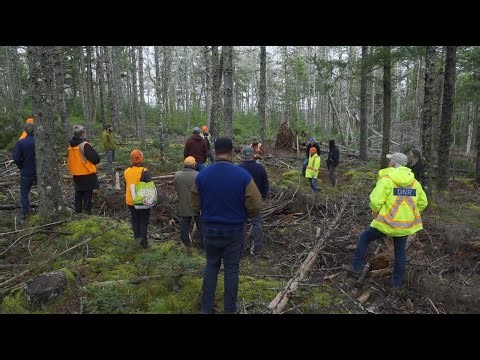 Introduction to Ecological Forestry #1