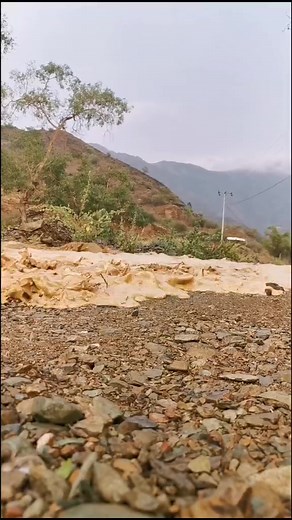 محمد الوايلي على TikTok