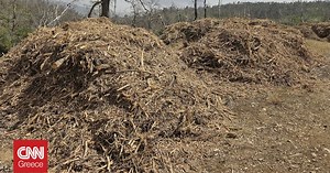 Την 1η Απριλίου ξεκινά η προθεσμία για τον καθαρισμό οικοπέδων - Τι ισχύει με τα πρόστιμα