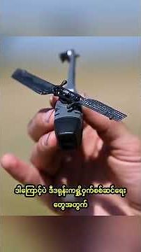The $80,000 Silent Spy: Inside the World's Smallest Military Drone
