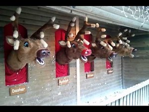 Singing reindeer at Center Parcs