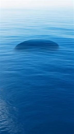 In the remote expanse of open ocean, where shipping routes disappear and the horizon stands unbroken, a routine aerial survey recorded something extraordinary. Beneath calm daylight waters, wave patterns began to shift unnaturally — circular ripples forming without wind or storm, swells reorganizing as though guided by an unseen force. A vast shadow moved under the surface, so immense it dimmed the sunlight above. The sea did not erupt into chaos; it aligned itself, rising into ridges and spiral