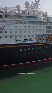 Tom, Head Wine Steward | Disney Cruise Line Jobs | The Walt Disney Company