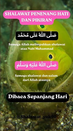 shalawat jibril | penenang hati dan pikiran #sholawat #sholawatnabi #sholawatjibril