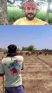 जय श्री कृष्ण 🚩🚩 | Munna Yadav