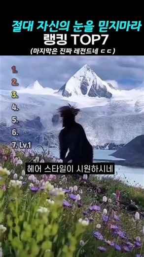 절대 자신의 눈을 믿지마라 TOP7 #랭킹 #쇼츠 #코미디 #유머