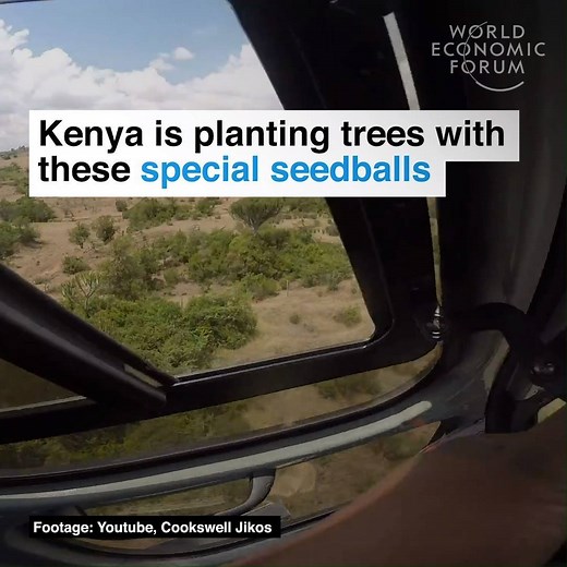 Their efforts are hitting the mark. Read more: https://wef.ch/2MjS8FO | World Economic Forum