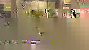 On June 28, 2024, 70 American youth and teachers from the Chinese Bridge - "Flying Tigers" Summer Camp visited Kunming's suburban parks and the Flying Tigers Memorial Hall at the Kunming City Museum. They learned about the stories of the Flying Tigers and the historical achievements of Sino-American cooperation and friendship. The camp, hosted by the Ministry of Education's Center for Language Education and Cooperation and the Sino-American Aviation Heritage Foundation, began on June 26 in Beiji