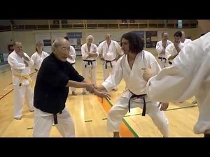 AIKIDO AND KARATE DOCUMENTARY