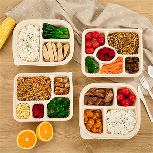 [Hot Item] Food Delivery 3 Compart Insulated Lunch Box