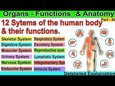 samanya gyan gk short livestream ssc exam general knowledge upsc ips ssc mtssc CGL exam live kais