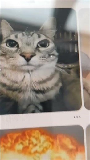 pintrest decides what i draw meme edition!