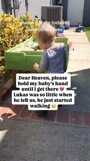 donate through link in bio to help and save innocent lives