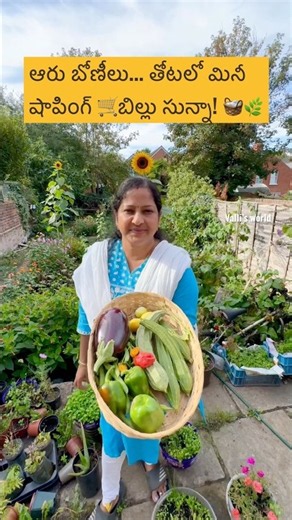 Gardenలో మినీ harvesting 😊😊 #gardening#farming #harvesting#ytshorts