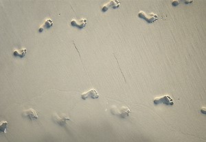 How to Motion Track Colour Grades in DaVinci Resolve | Envato Tuts