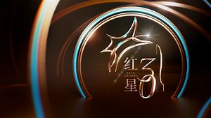 Star Awards 2026: Born to Glow | 红星大奖