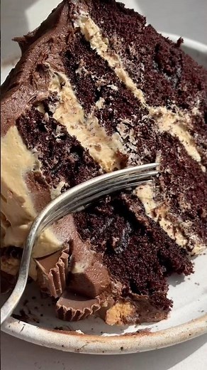 BEST Peanut Butter Chocolate Cake!🥜🍫 recipe in comments! #cakerecipe #peanutbutter #chocolate