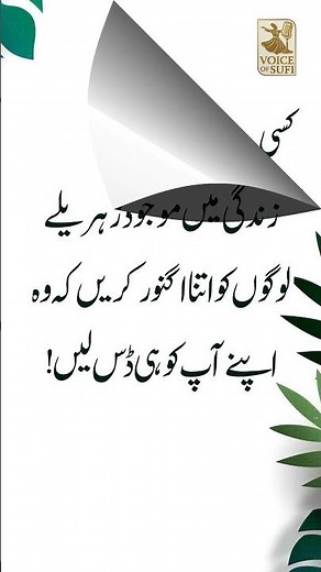 Voice Of Sufi Quotes - Golden Words - short Videos 65