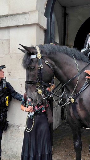 70K views · 820 reactions | Armed Police Says No Apple for Treating and Back off not too many people at once #kingsguard #fypシ゚ #Amazing #fbreels #trendingreels #funny #shorts #love #london #highlights@followers | This is London channel | Facebook