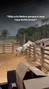 Eu acho que tá hein! 😂 #meme | Nelore Modelo