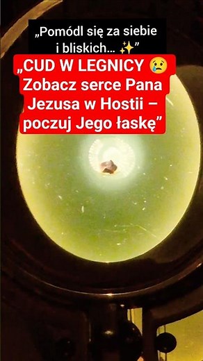 CUD W LEGNICY 😢 Zobacz serce Pana Jezusa w Hostii – poczuj Jego łaskę