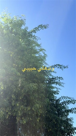 Fairuz songs playlist best arabic classics