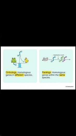 Orthologs vs Paralogs The Critical Gene Difference #bioinformatics #shorts #orthologs