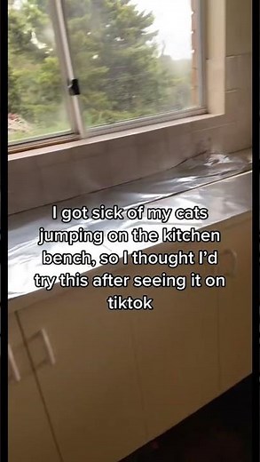 Cat jumps on foil counter (Tiktok) by @georgie_renee
