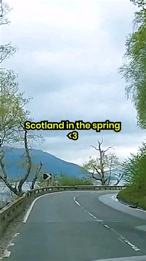 scotland will look like this in 3 months 🤍 #scotland #scotlandvlog #scotlandtravelguide #solotravel
