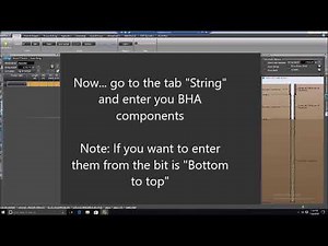 Phoenix WellPlan T&D Guide