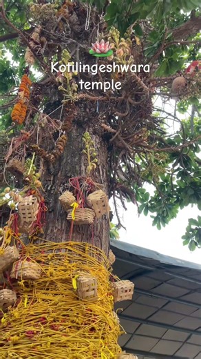 🛕 1 Crore Shivlings at Kotilingeshwara Temple 🙏#bangaloretokotilingeshwara #temple