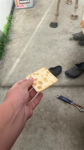 Bro loves crackers