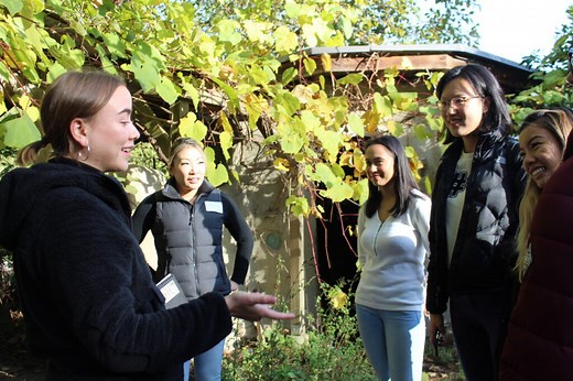 Former youth in care - UBC | Undergraduate Programs and Admissions