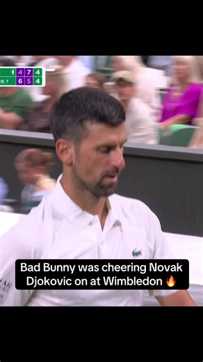 #wimbledon #badbunny #tennis #novakdjokovic #puertorico | wimbledon