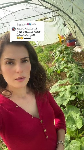 حسابات مقترحة