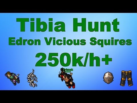 Tibia Hunt: Lvl 50 EK PG Edron Vicious Squires 250k/h Exp