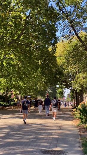 Need a change of scenery while studying for midterms? 📚 Whether you’re cramming with friends, tackling solo work, or just searching for a cozy corner with good coffee, we’ve got you covered. ☕️ From the bustling energy of BIF to the peaceful calm of the Quad, UIUC has no shortage of great study spots. Which one’s your favorite? Did we miss your go-to spot? Let us know! 👇 #uiuc #universityofillinois #universityofillinoisurbanachampaign | A Girl About Champaign-Urbana