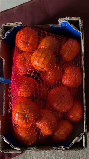 How to Open a Bag of Oranges? - Sun March 22, 2026