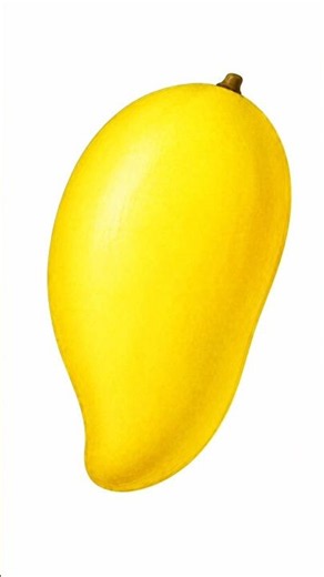 The Secret Science of Mango Ripening 🥭
