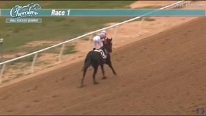 5.3K views · 69 reactions | Good Morning and Happy Tuesday! ☕️ The largest winning margin across North America yesterday came from the 1st race at Will Rogers Downs, where Stormy's Revenge broke her maiden by 11 1/2 lengths for trainer Juan Padilla with Elvin Gonzalez aboard! For more statistics from today and the day prior, visit Equibase Daily Insights with the link below: https://equibase.com/DailyInsights/dailyInsights.cfm | Equibase Company | Facebook