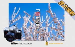 「胶片摄影」尼康F65丨百元入门胶片单反丨最简单的享受丨非日常