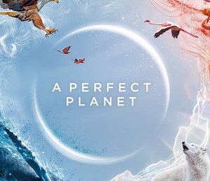 A Perfect Planet Summary, Trailer, Season List, Cast, Where to Watch and More