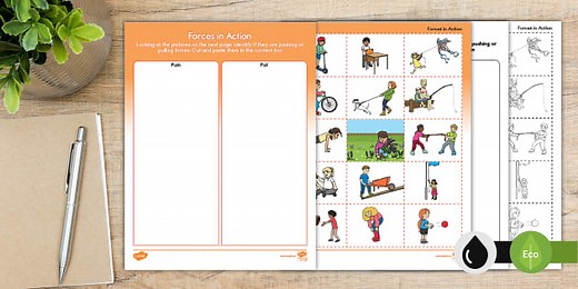 Everyday Forces Sorting Activity