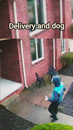 Ring Doorbell Scare Pranks and Scare Cam Moments