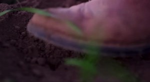 111 reactions · 13 shares | In our family, food is more than just a business. It's a way of life. We offer organic food, and over 12,000 natural and healthful products you can trust. Membership is always free and it's so easy to get started. We warmly invite you. www.azurestandard.com | Azure Standard | Facebook