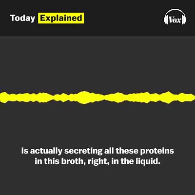 It could be a year or more before a coronavirus vaccine is ready. Listen to Today, Explained — Vox's daily explainer podcast, to learn about a radical plan to speed up the process: https://podcasts.apple.com/us/podcast/long-shot/id1346207297?i=1000471831843 | Vox