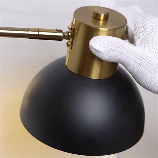 Adjustable Arm Plug In Wall Lamp