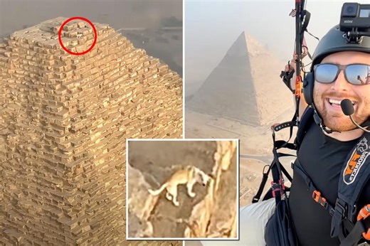 Jaw-dropping video shows barking dog on top of Great Pyramid of Giza in surreal scene