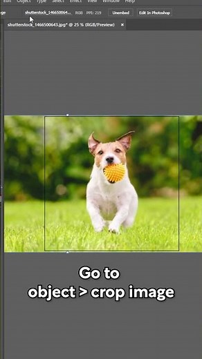 How To Crop On Illustrator 👇 - Adobe Tutorial