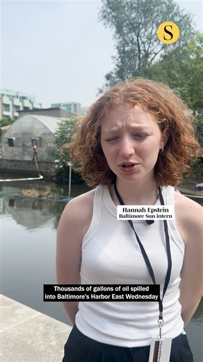 As efforts to clean thousands of gallons of oil from waters near Baltimore’s Harbor East continue, officials are working to rescue turtles and other wildlife from the affected areas. As of Thursday afternoon, around two dozen geese and ducks had been rescued from the area, along with three turtles — two slider turtles and a snapping turtle. The affected animals are being transferred to Tri-State Bird Rescue & Research, a wildlife rescue service in Newark, Delaware, where they will be rehabilitat